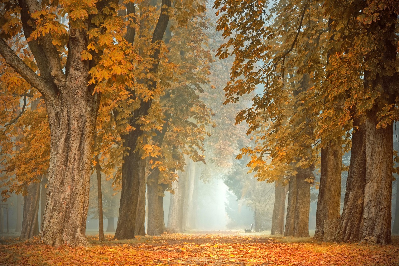 Veranda in september met pompoenen en herfstbladeren. Veranda in september met pompoenen en herfstbladeren.