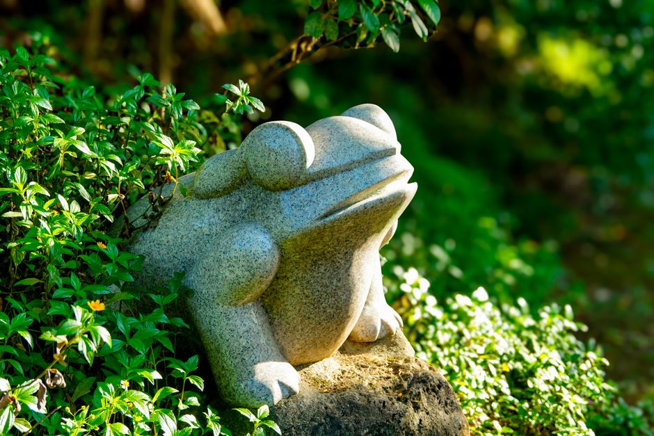 Grote muurschildering van een springende kikker. Grote muurschildering van een springende kikker.
