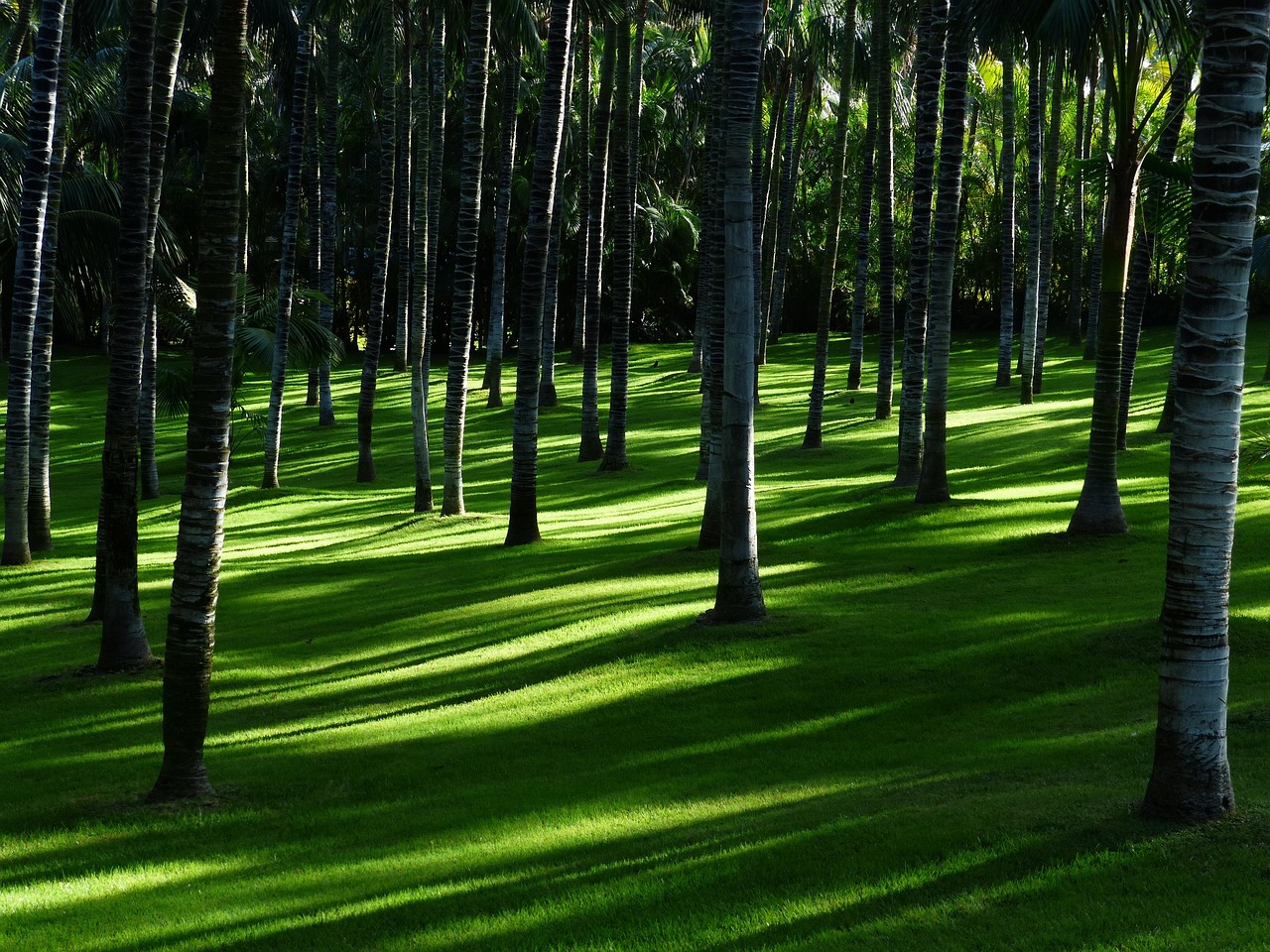 Stenen waterval als tuinmeditatiepunt.